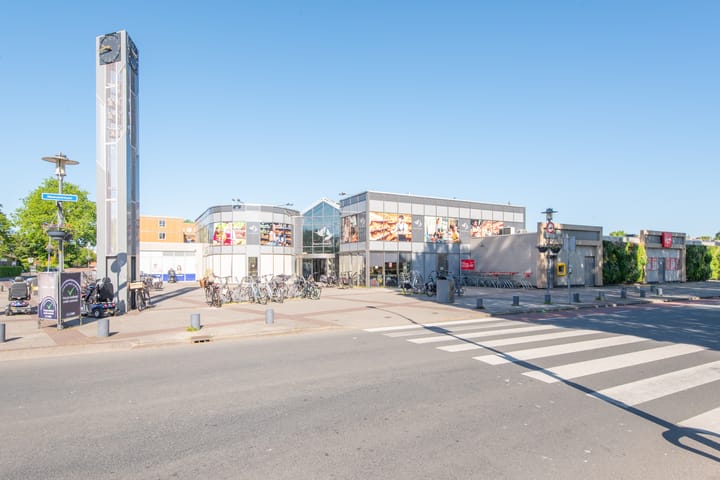 Foto 50 van Meeuwenlaan 64