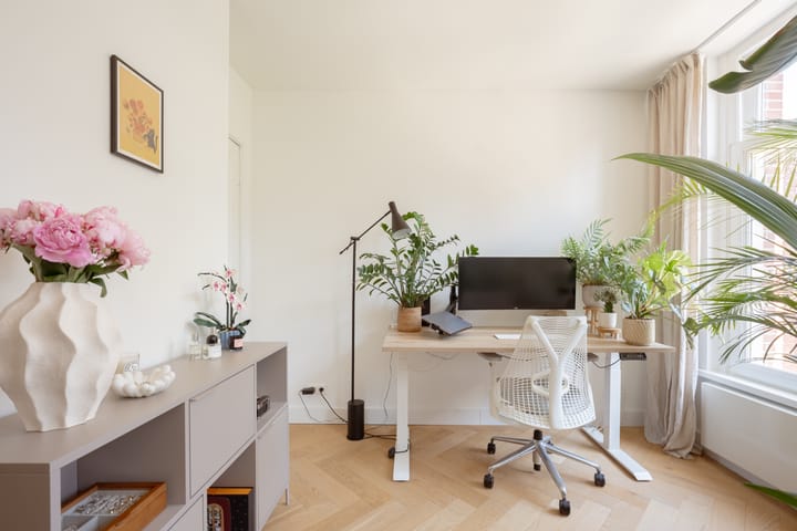 Foto 10 van Hemonystraat 48-2