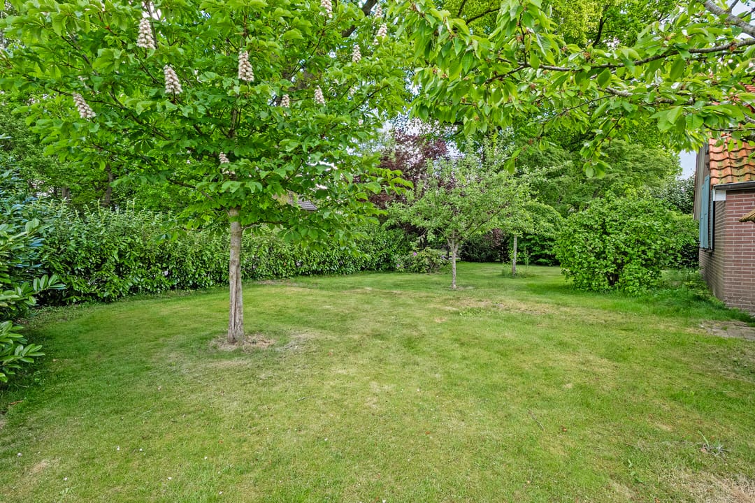 Foto 68 van Drogteropslagen 56