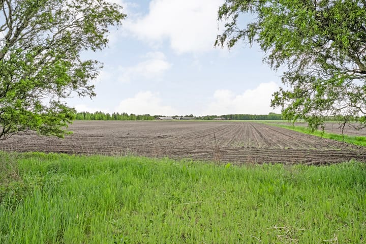 Foto 69 van Drogteropslagen 56