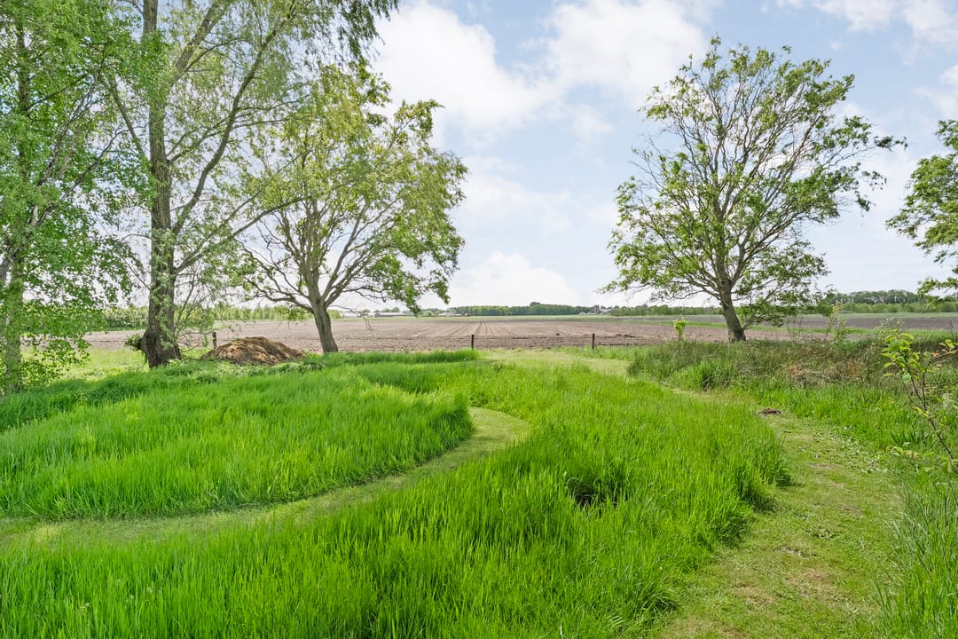 Foto 77 van Drogteropslagen 56