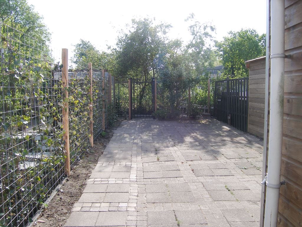 Foto 5 van Piet Heinstraat 9