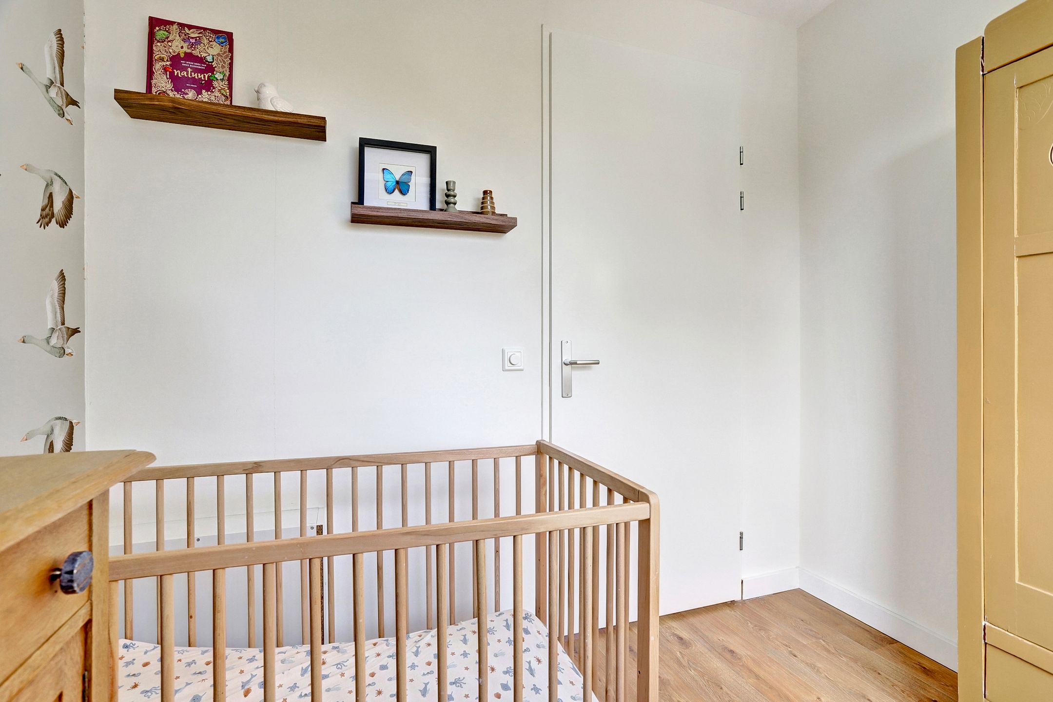 Photo 24 of Kuipersstraat 14