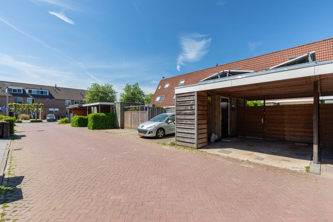 Foto 46 van Wildforster 104