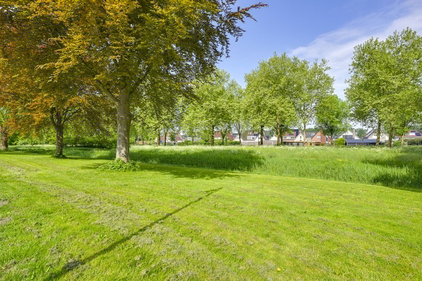 Photo 65 of Beltmolen 40