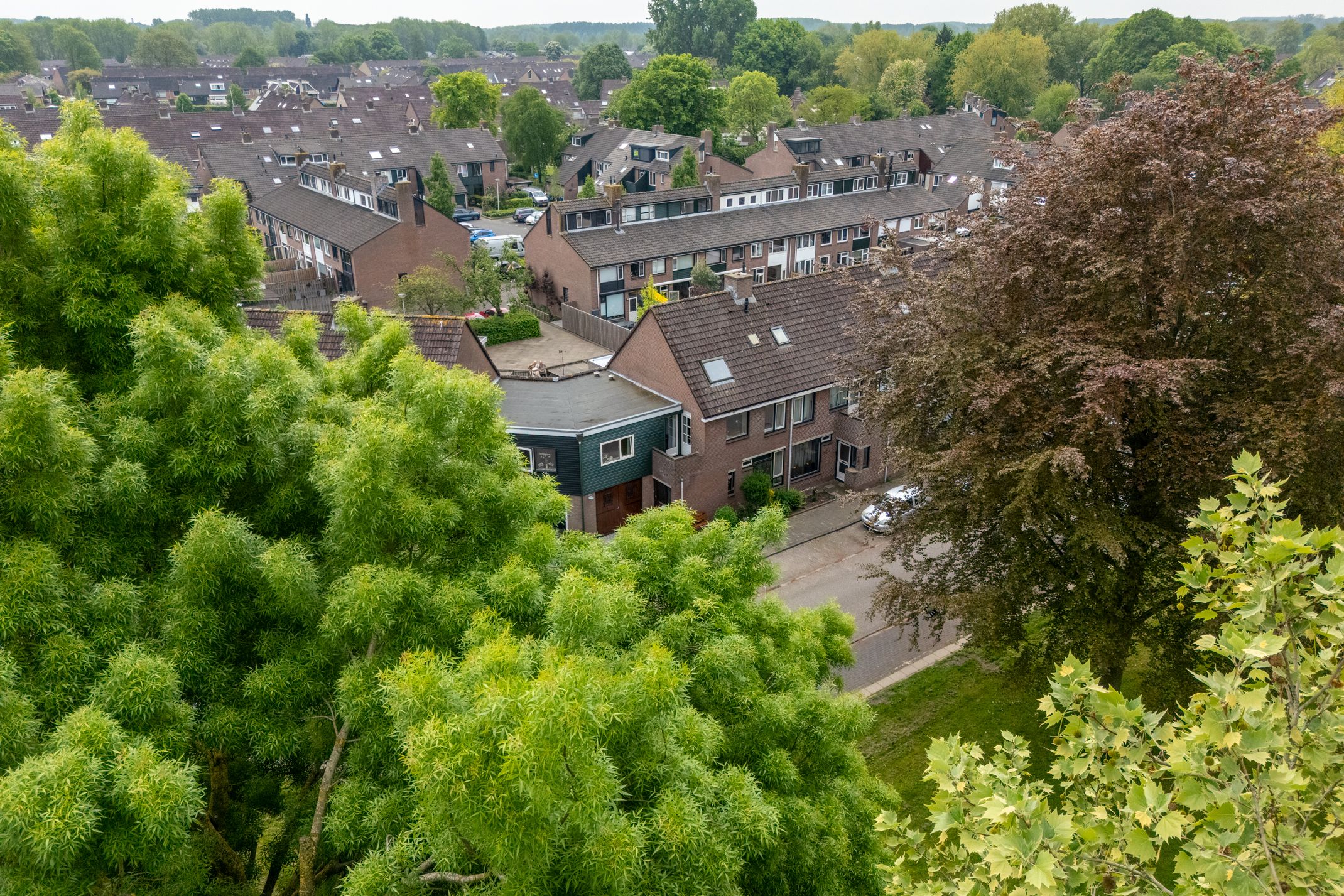 Photo 66 of Beltmolen 40