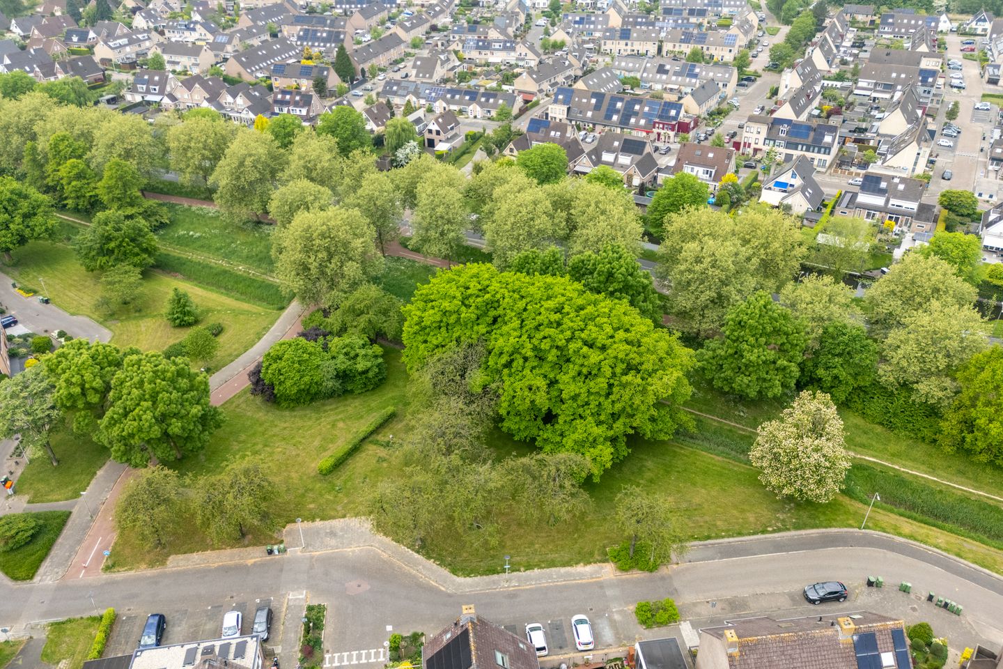 Photo 74 of Beltmolen 40