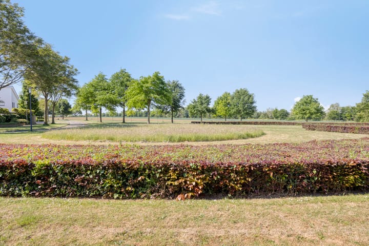 Photo 22 of 's-Herenelderenlaan 11-A