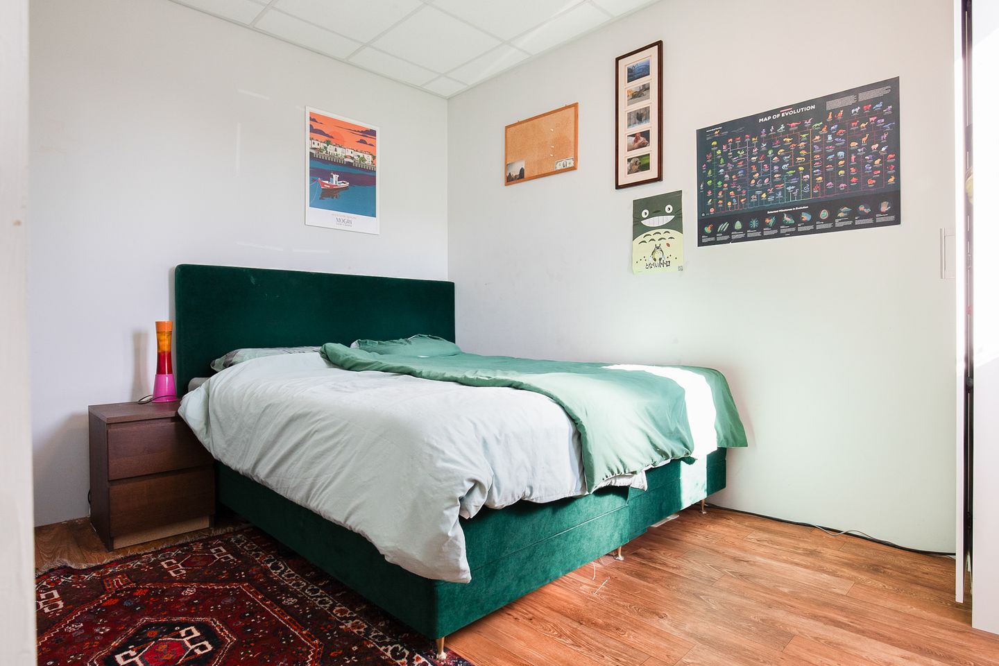 Foto 20 van Saturnusstraat 153