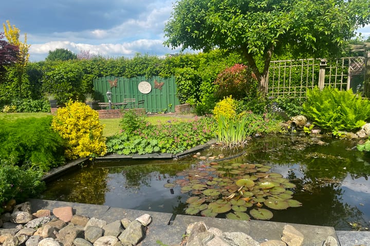 Foto 42 van Grote Woerd 5