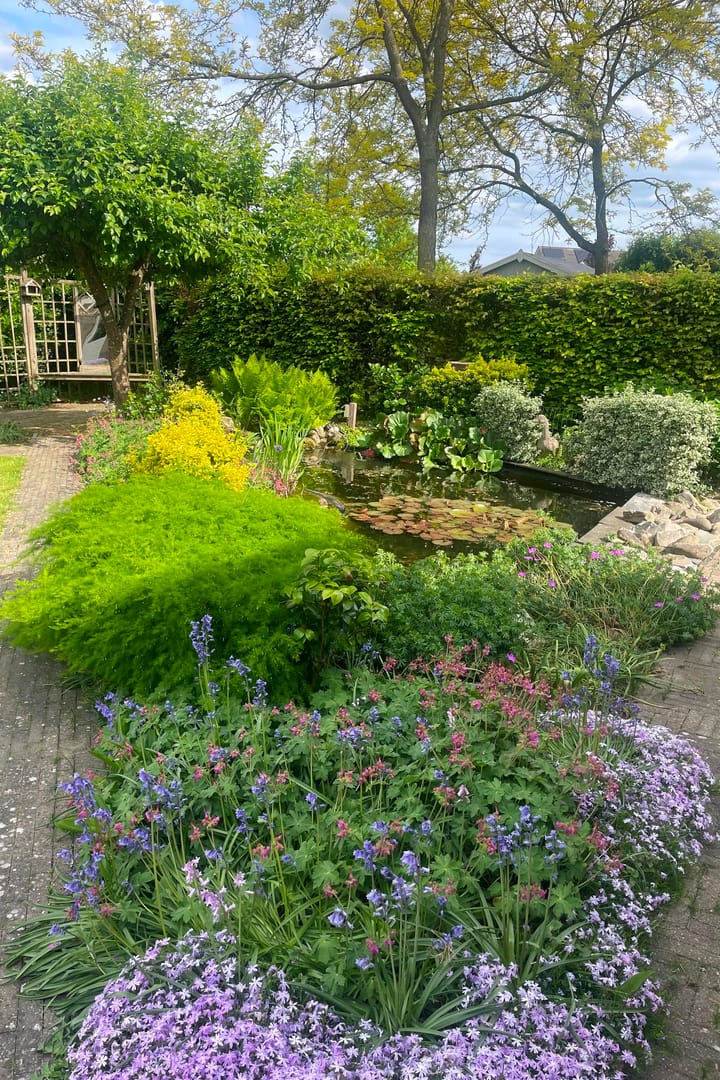 Foto 48 van Grote Woerd 5