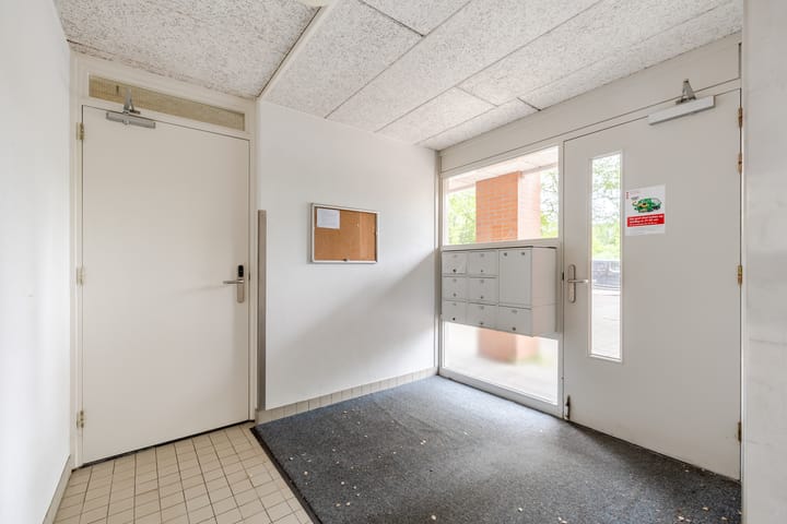 Foto 7 van Suze Groenewegplantsoen 71