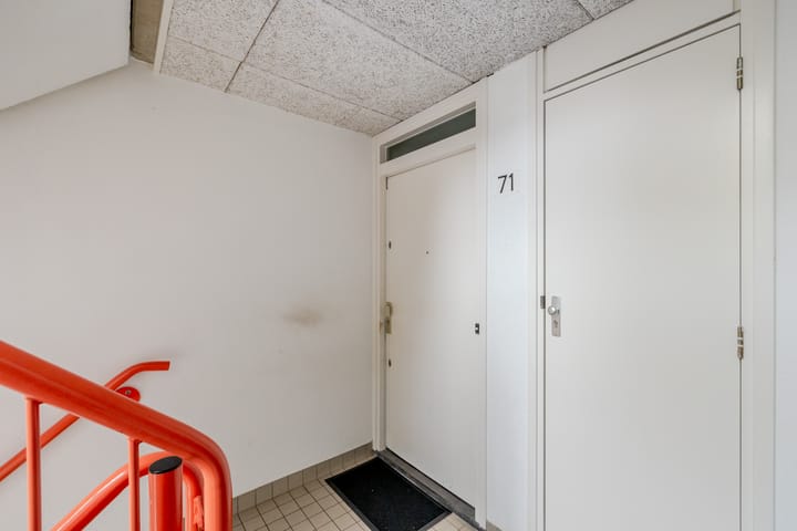 Foto 8 van Suze Groenewegplantsoen 71