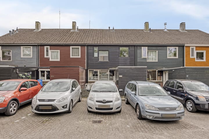 Foto 6 van Ruinerbrink 207