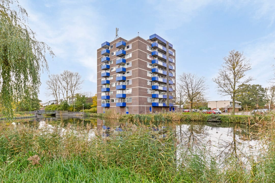 Foto 1 van Bijvoet 42