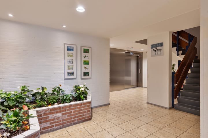 Foto 6 van Bijvoet 42