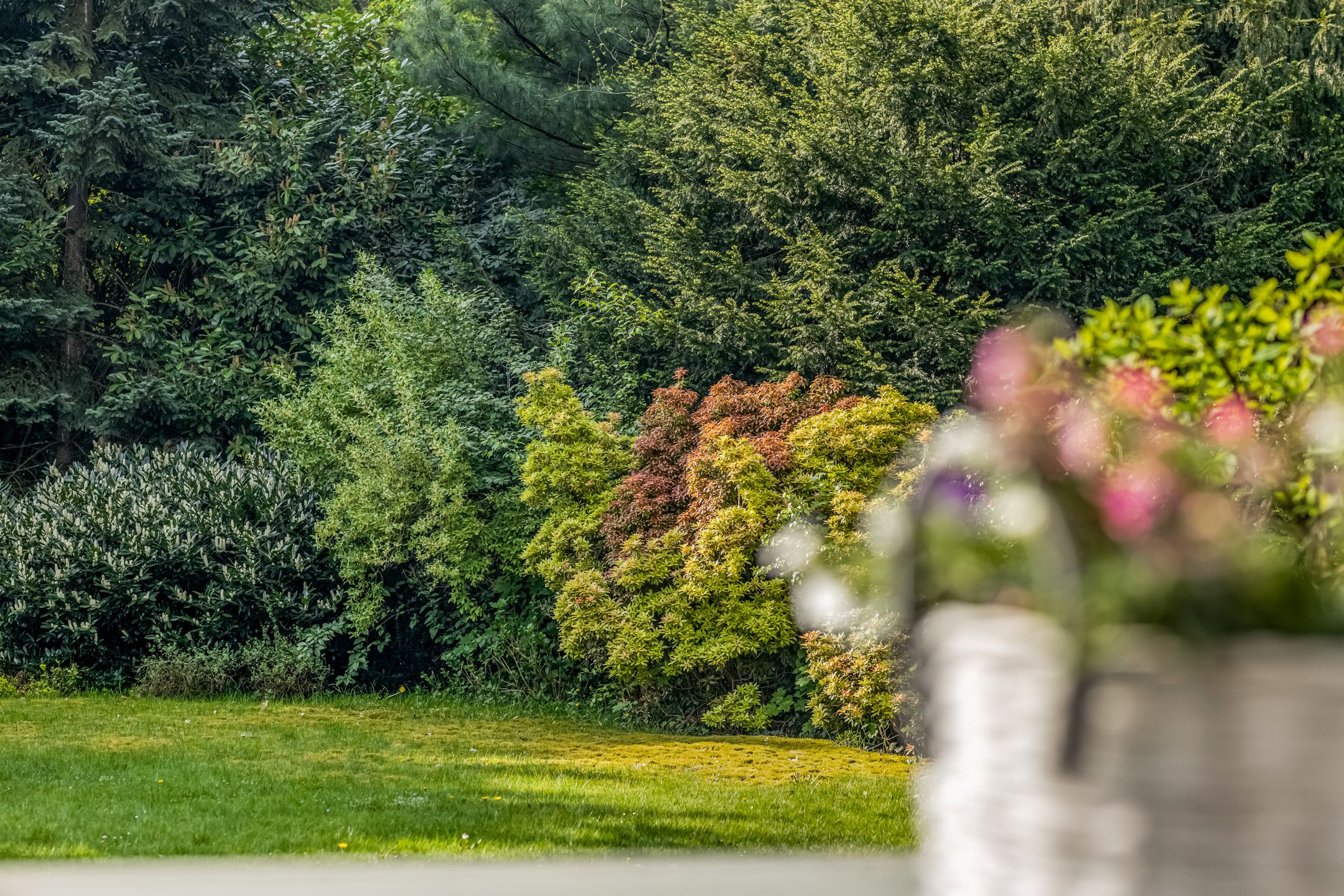 Foto 60 van Peteweg 51-A