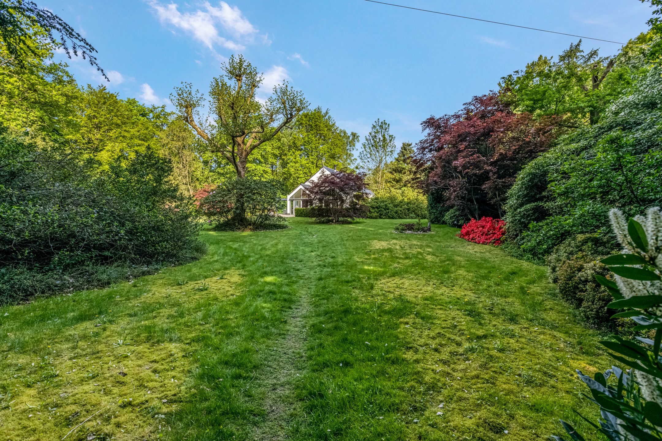 Foto 63 van Peteweg 51-A