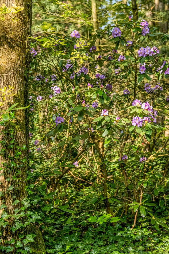 Foto 66 van Peteweg 51-A