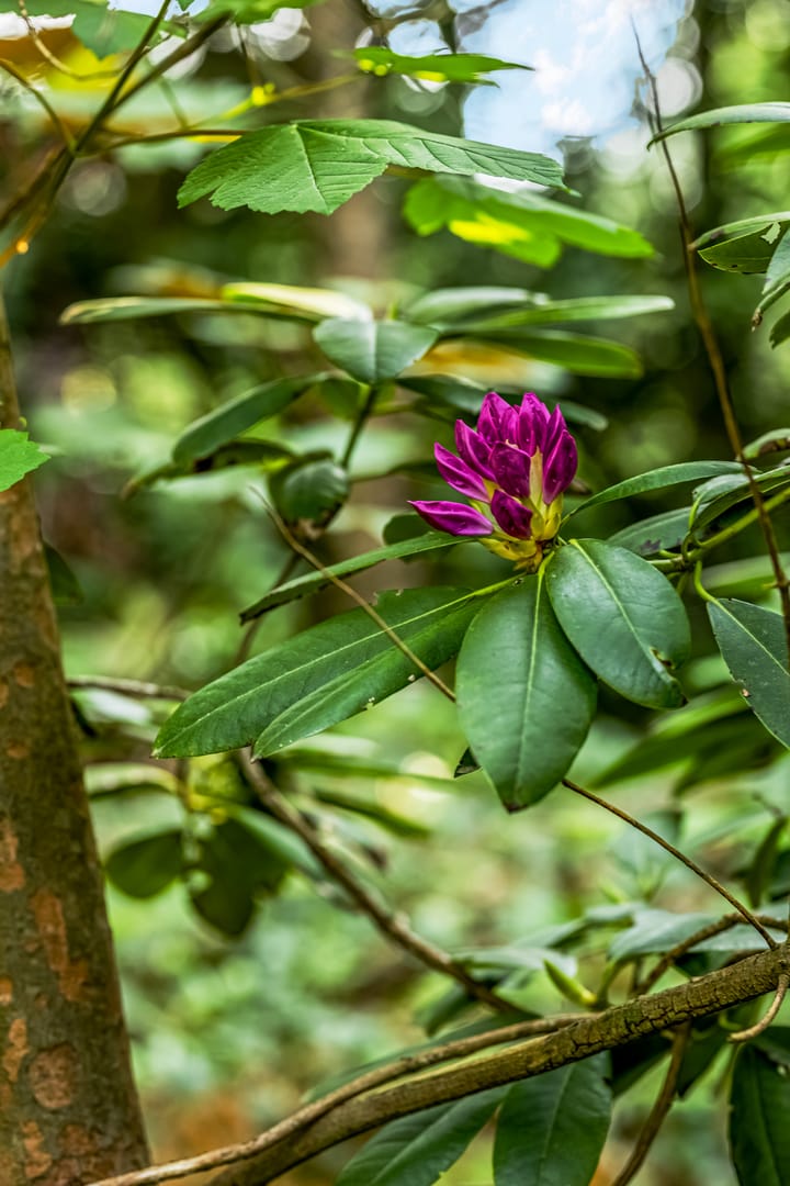 Foto 67 van Peteweg 51-A