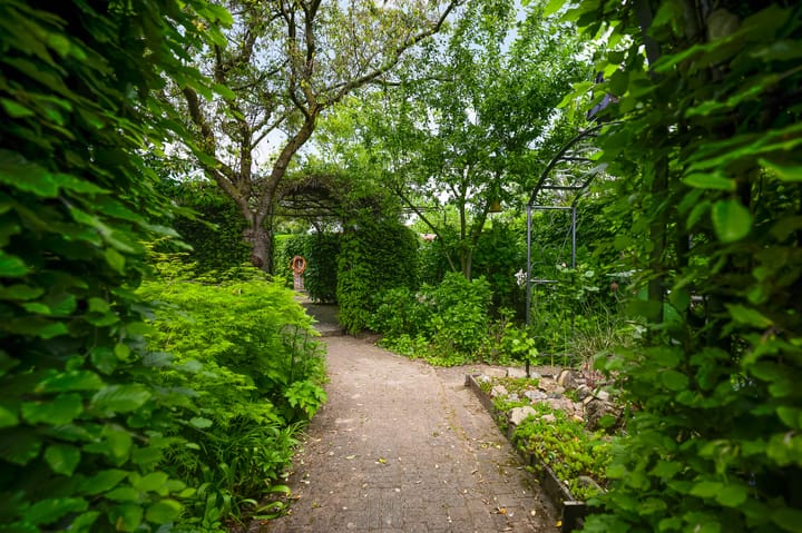 Foto 37 van Pollaertshof 11