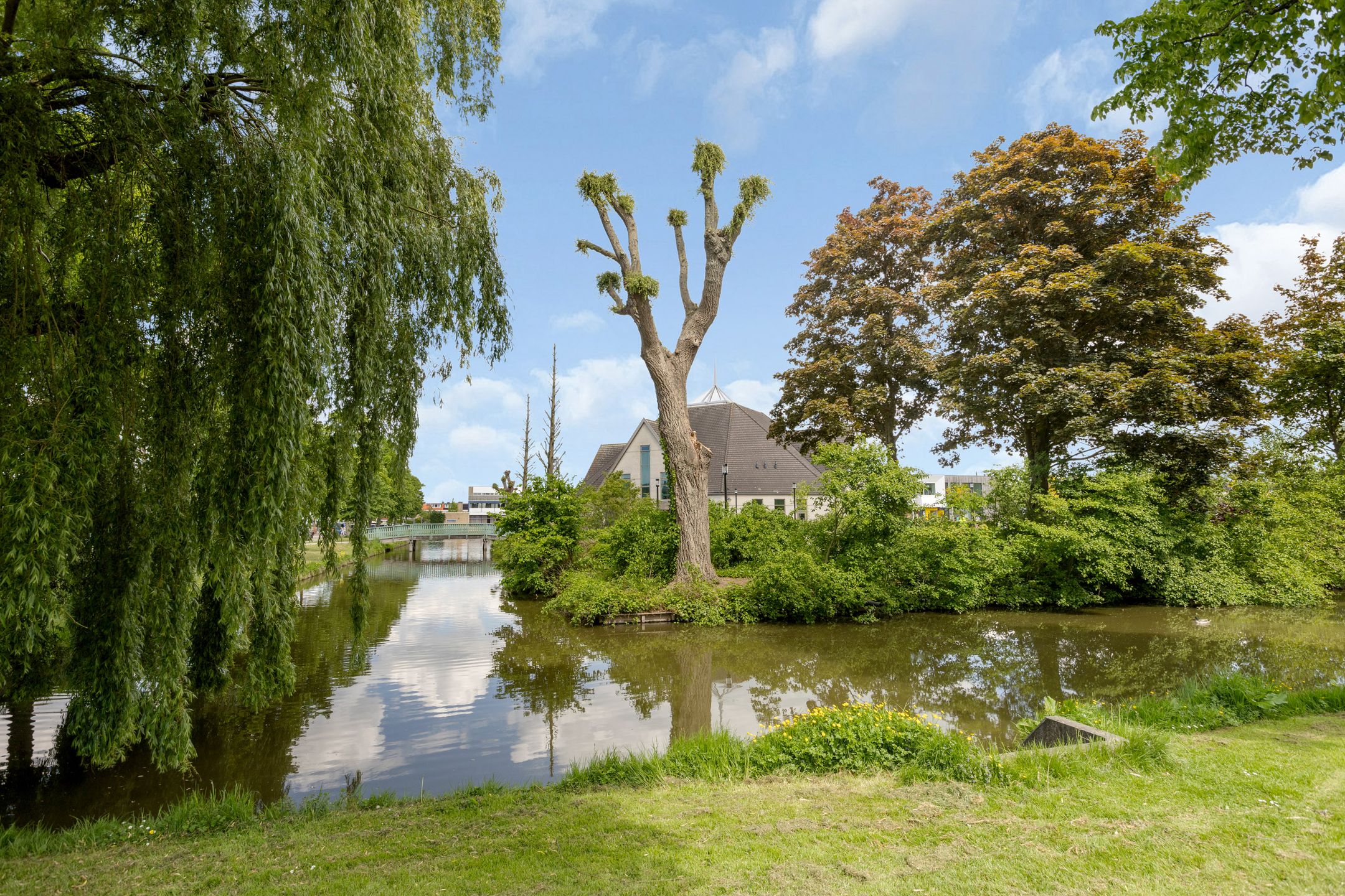 Foto 42 van Dronensingel 123