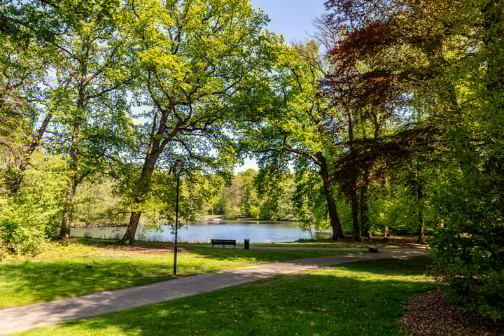 Foto 9 van Zijpendaalseweg 139