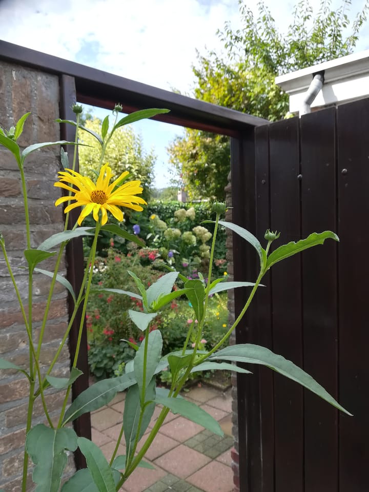 Foto 31 van Windmolenbroeksweg 17