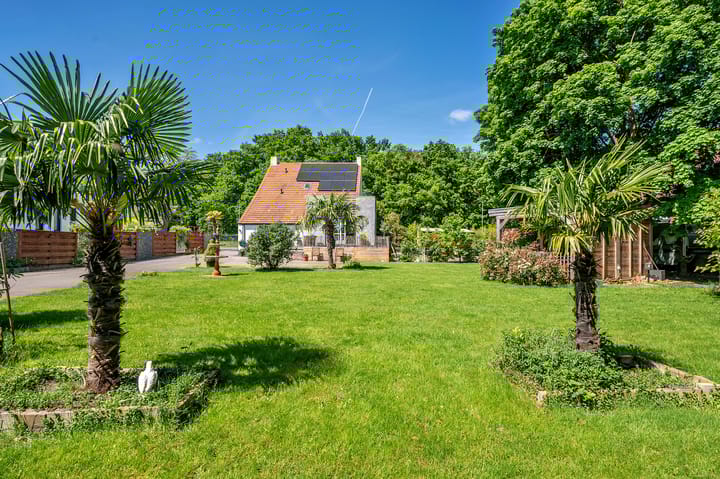 Foto 49 van Weselseweg 134