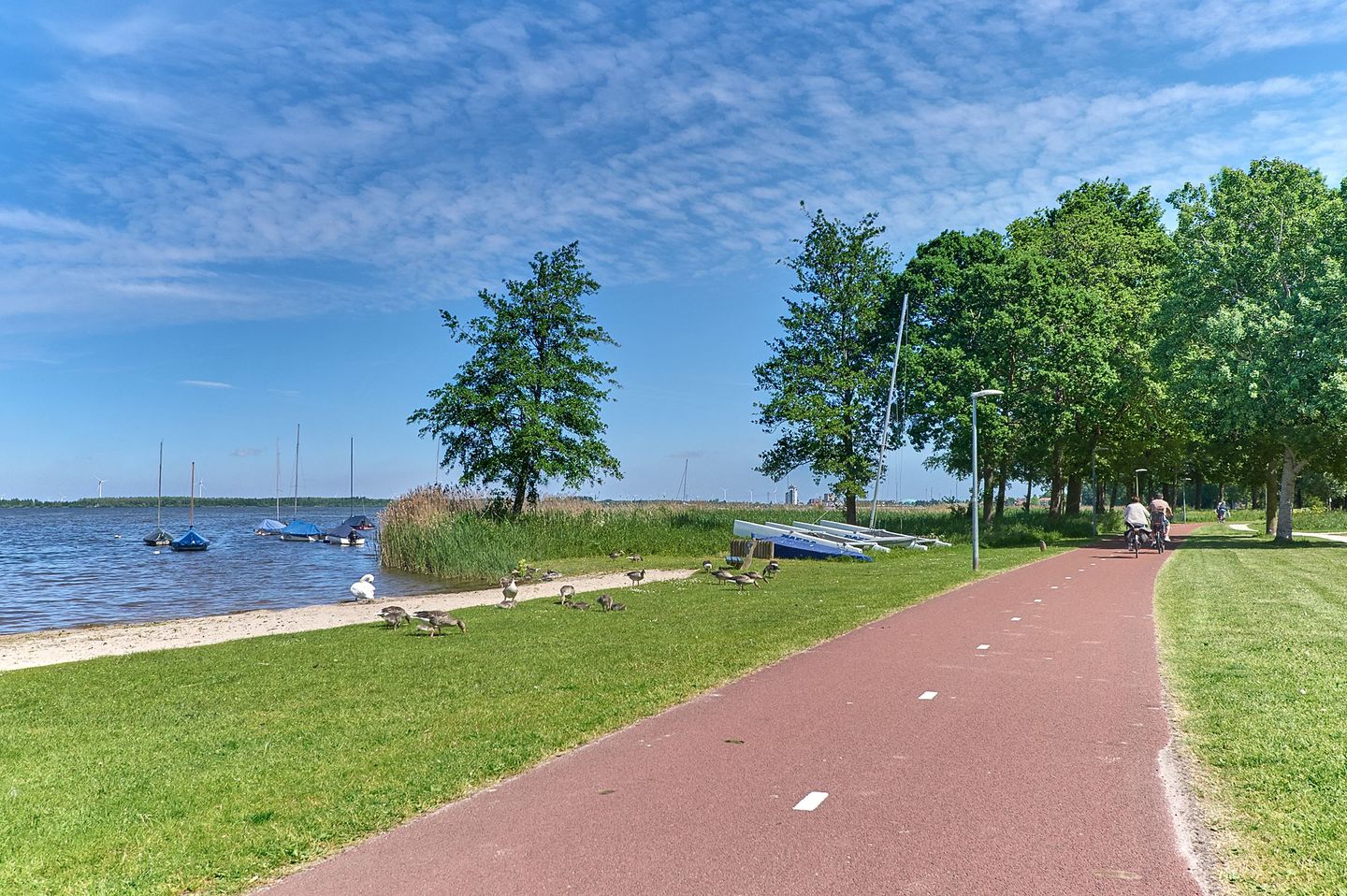 Foto 64 van Rietgorsmeen 78