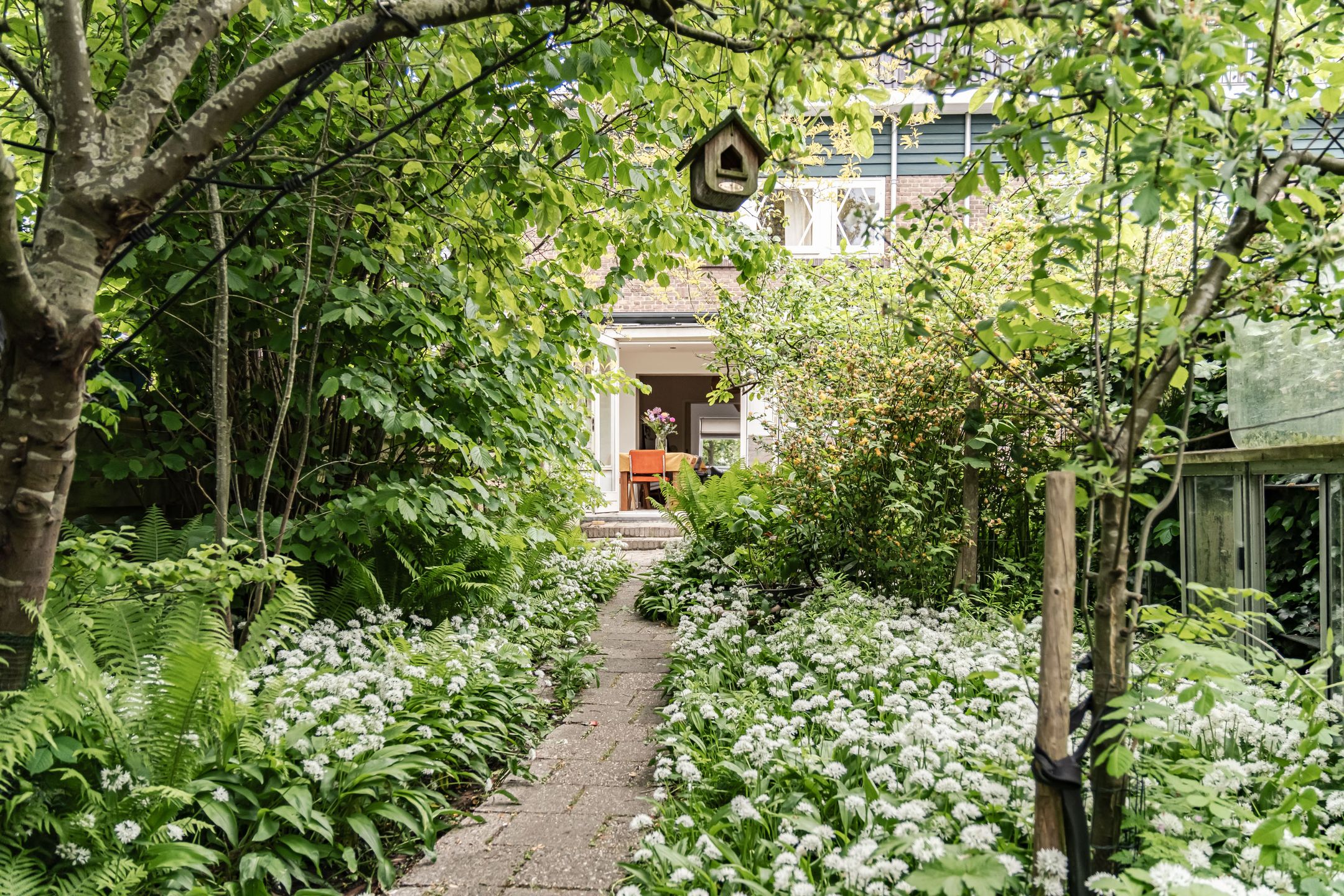 Photo 3 of Christiaan Huygensplein 6