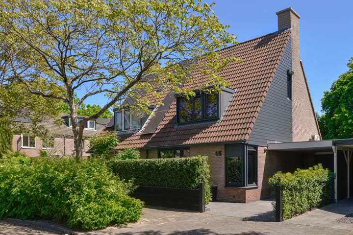 Foto 1 van Goudhaver 15