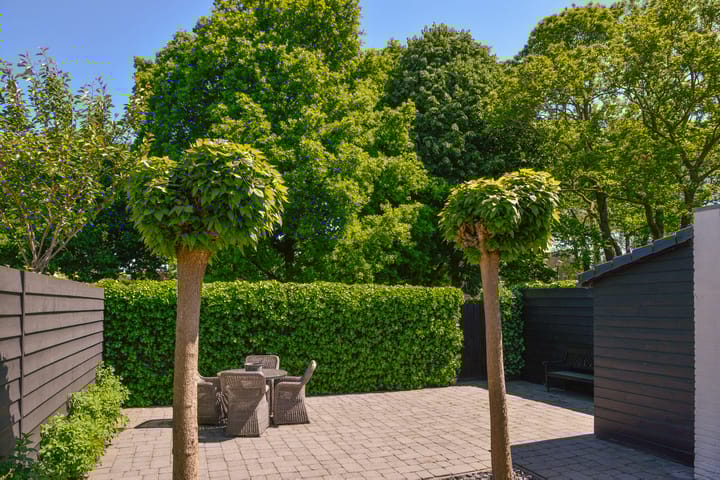 Foto 4 van Goudhaver 15