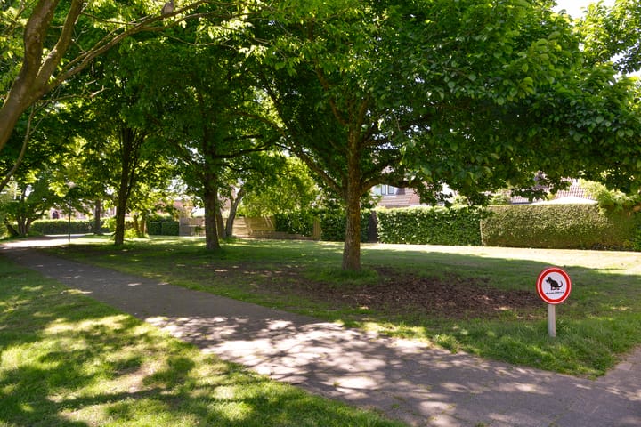 Foto 22 van Goudhaver 15