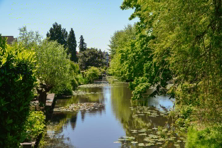 Foto 23 van Goudhaver 15