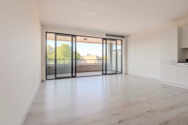 Photo 11 of Brink 100