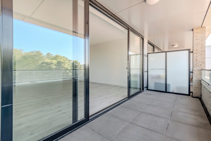 Photo 13 of Brink 100