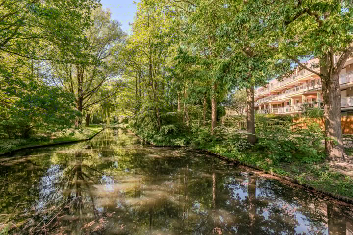 Photo 6 of Brink 100