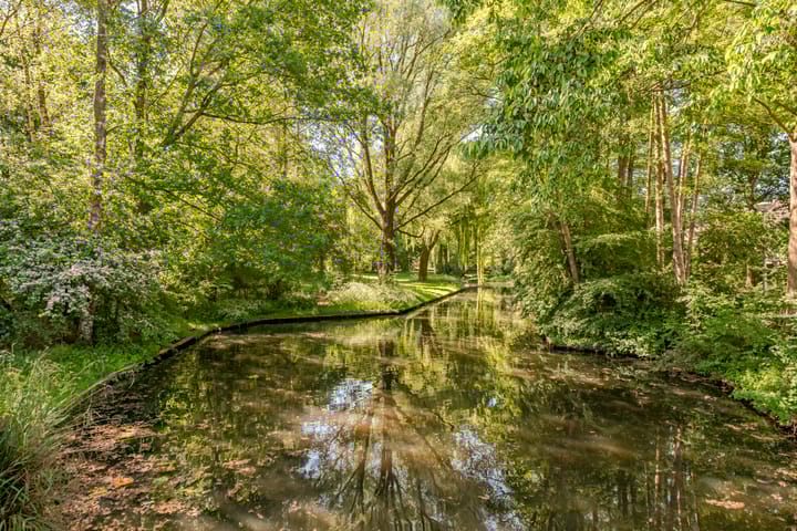 Photo 34 of Brink 100