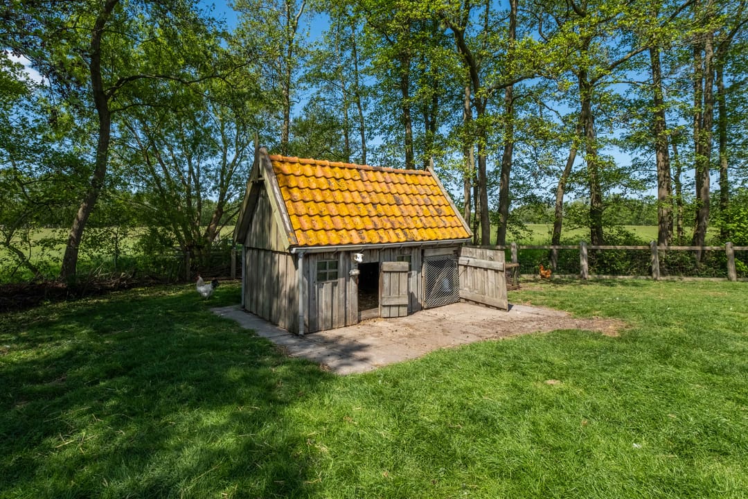 Photo 91 of Johannes Durksloane 2