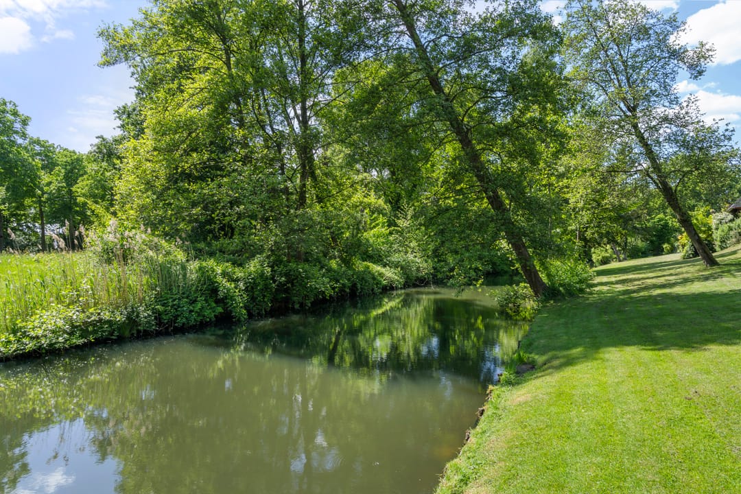 Foto 41 van Levendaal 15