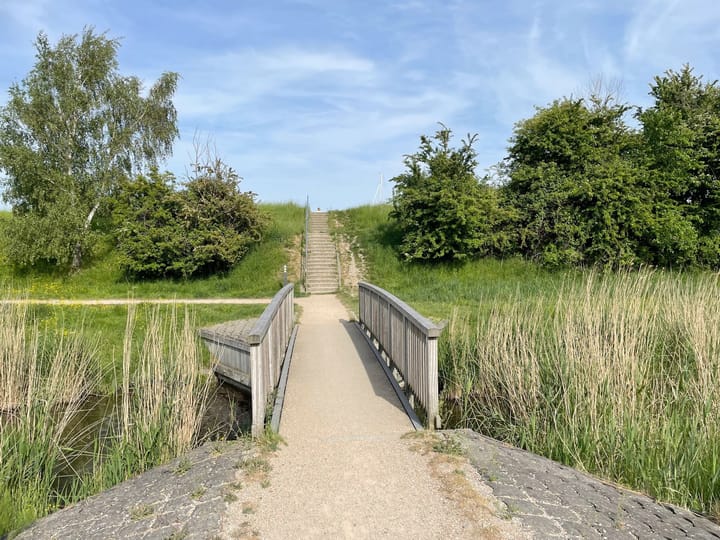 Foto 7 van van Borselelaan 26