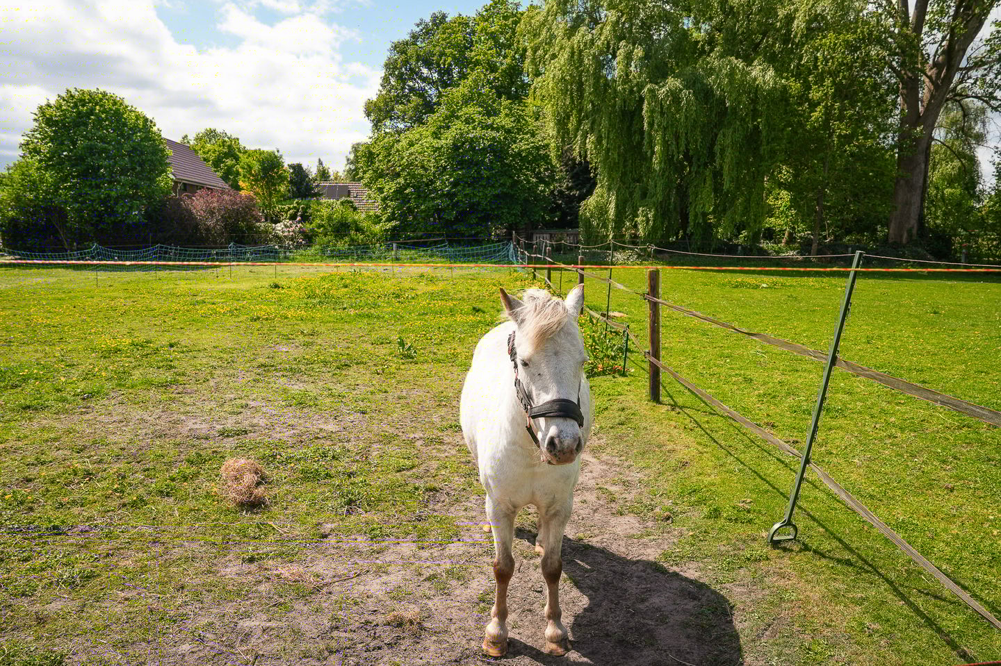 Foto 44 van Vierzonenweg 13