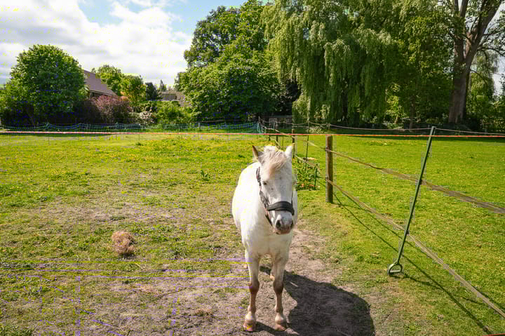 Foto 44 van Vierzonenweg 13