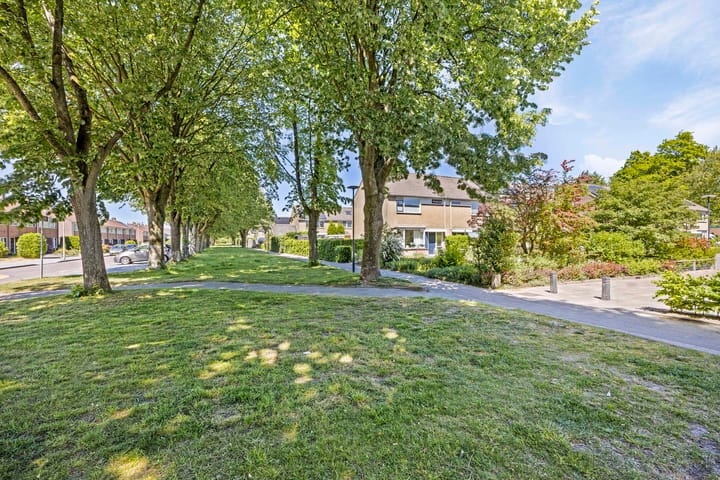 Foto 36 van P.K.Pelstraat 66