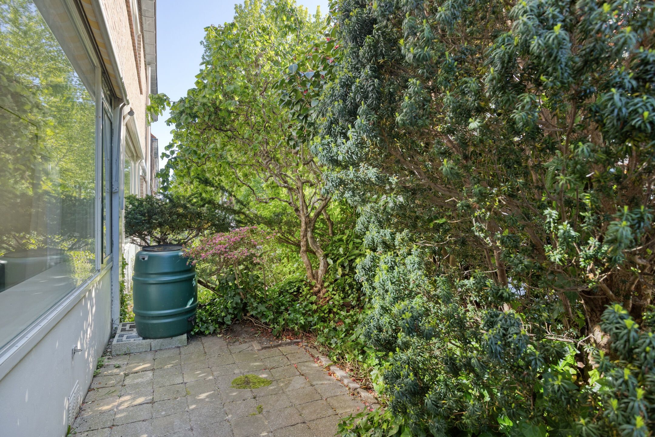 Foto 6 van Salvialaan 46