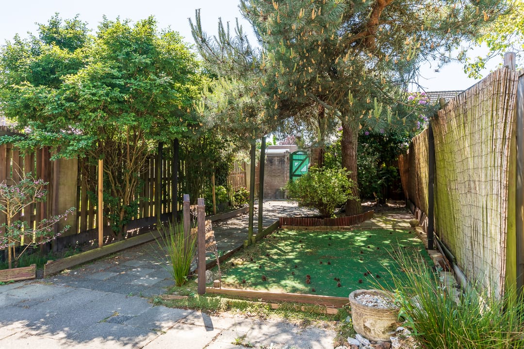 Foto 2 van Besoijenstraat 24