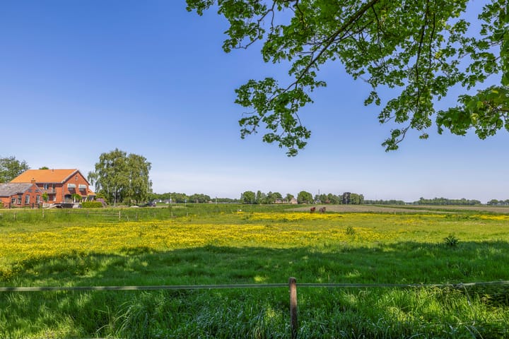 Foto 42 van Greveling 5