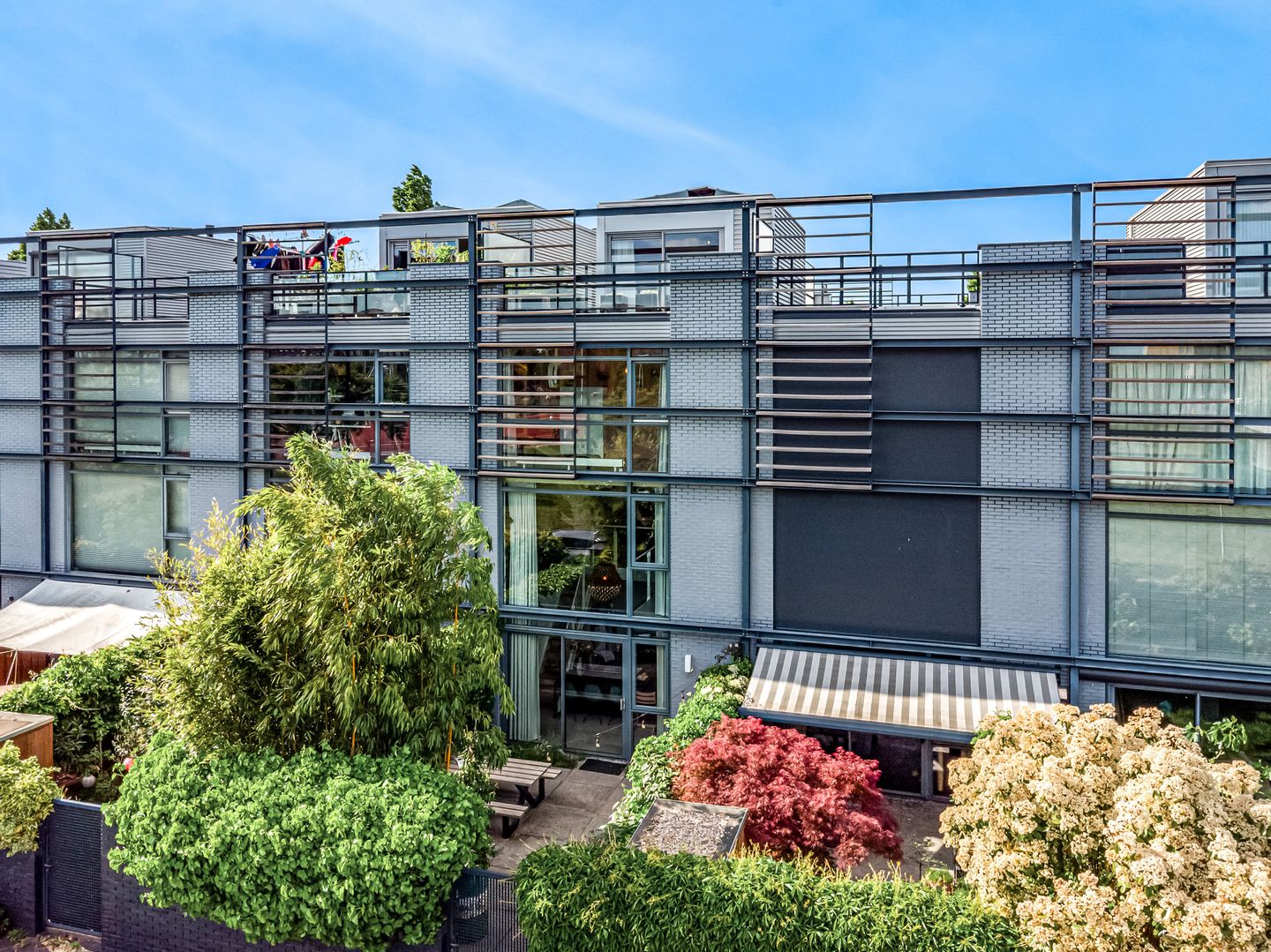 Foto 1 van Weerschijnvlinder 75