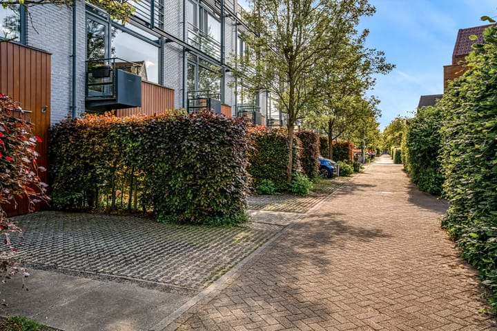 Foto 3 van Weerschijnvlinder 75